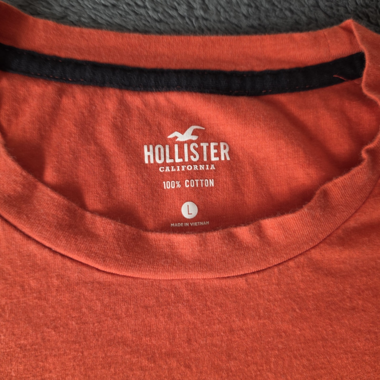 Hollister Pride Collection Rainbow Logo 100% Cotton T-Shirt Size L