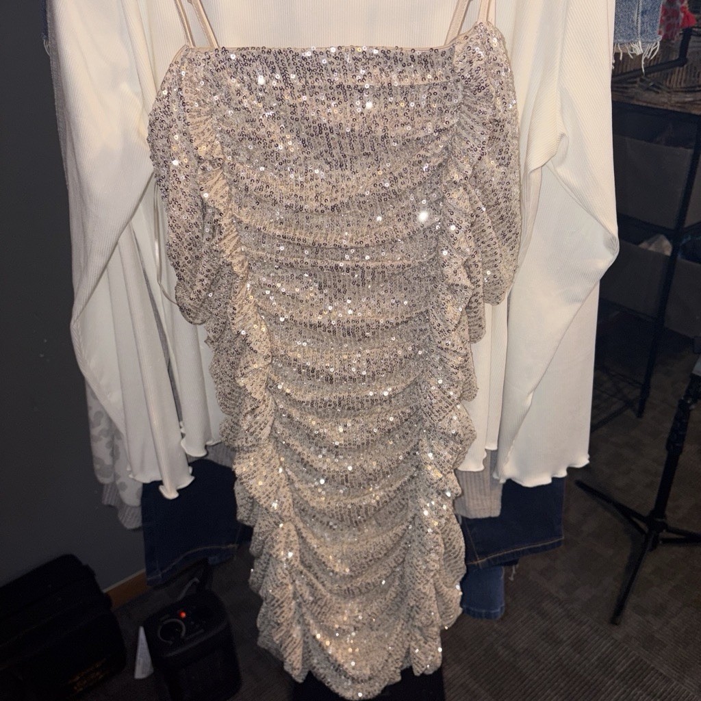 Terra Cotta Gorge Silver Sequin Off Shoulder Spaghetti Strap Mini Dress L