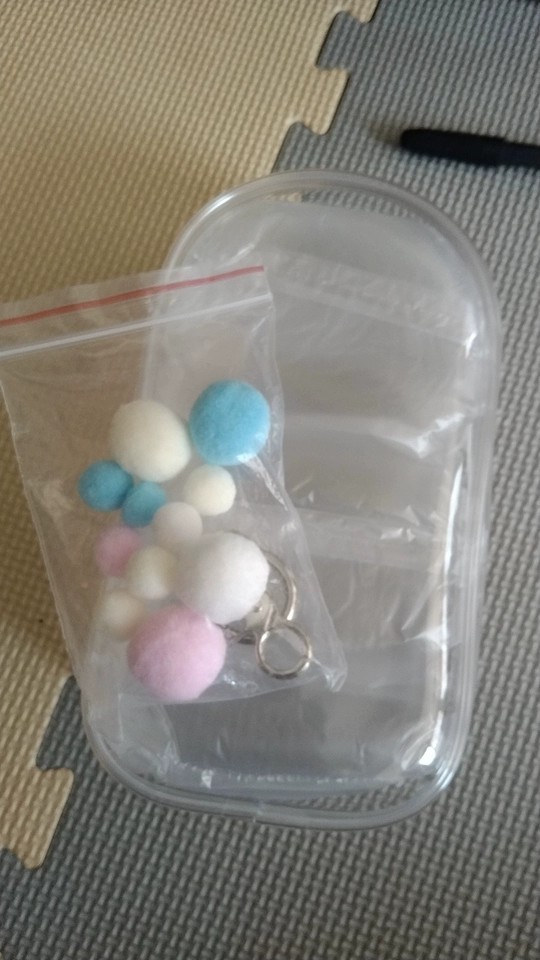 Suitable for 19cm plush toys Transparent Protective Display Pouch Keychain Hot！