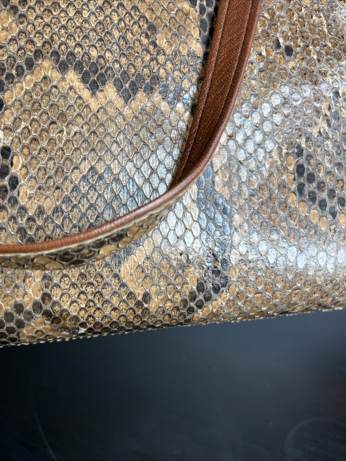 Genuine Python Skin Double Handle Purse – Mid 21st Century 1950s