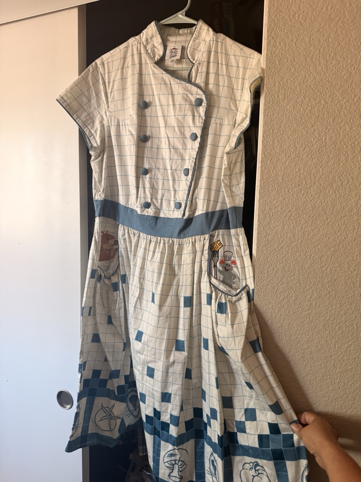 Disney Women’s XL Long Ratatouille dress