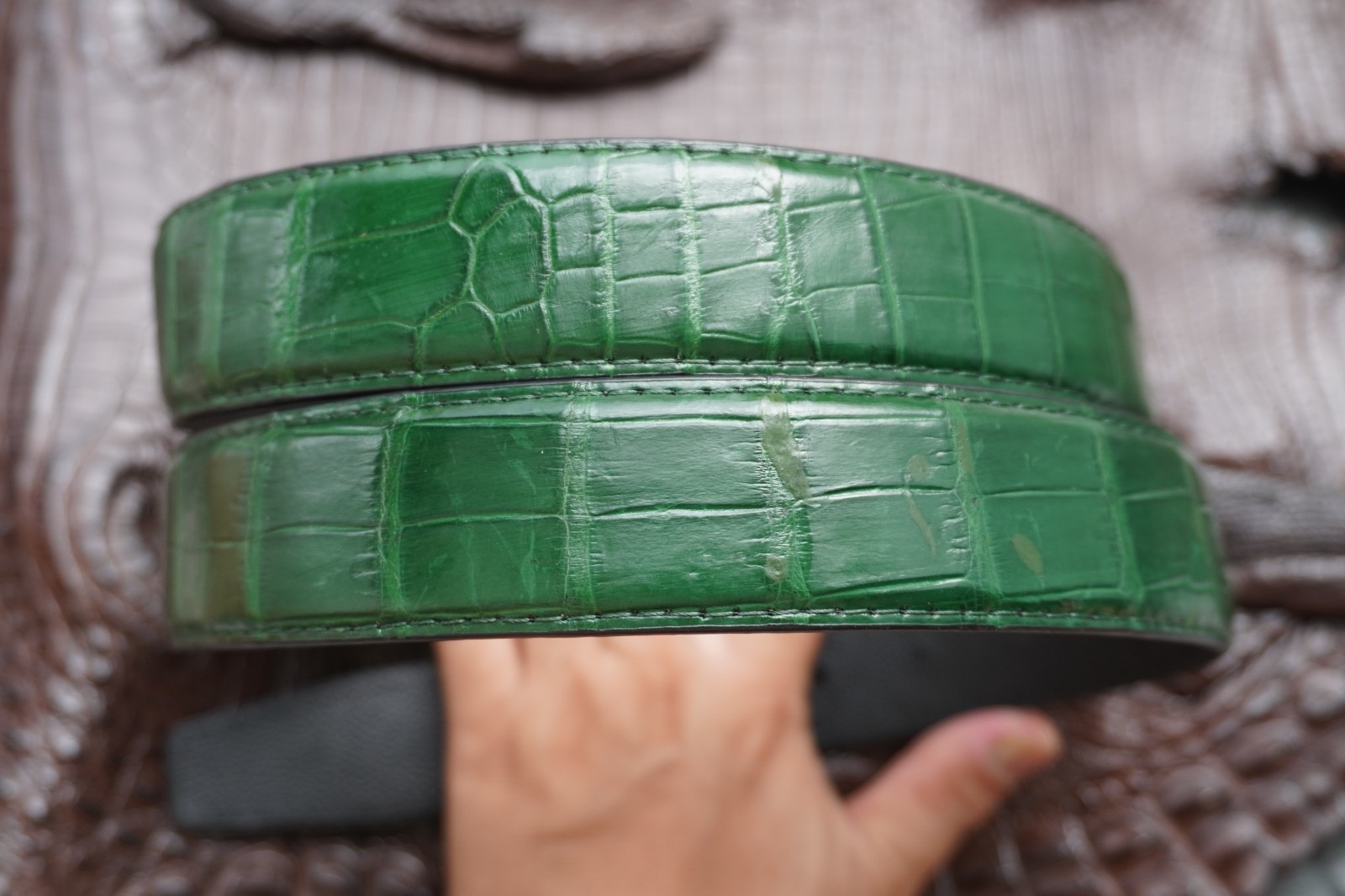 W 1.3 inch – Green Genuine Crocodile Belly Leather Skin Men’s Belt #L50