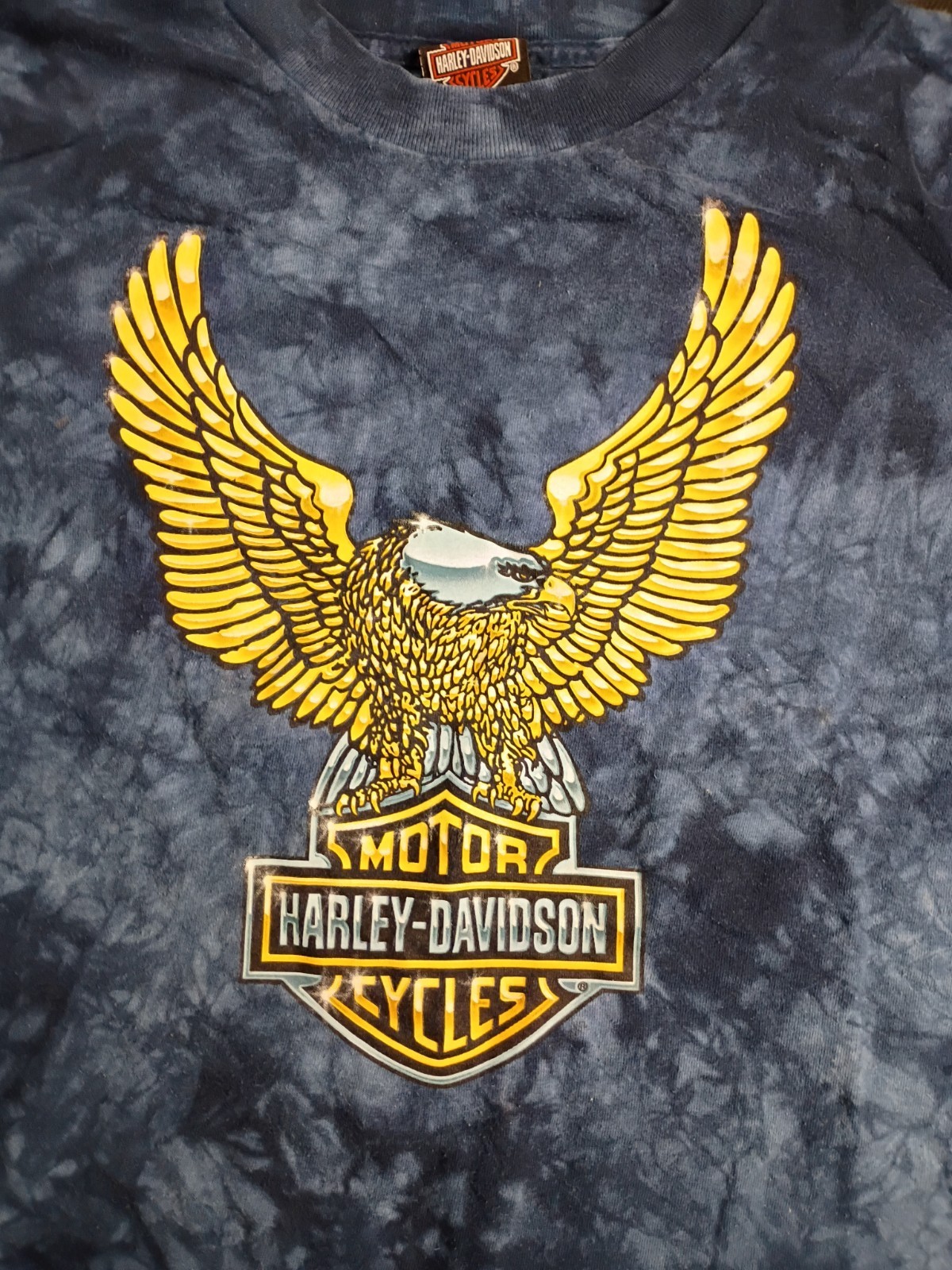 Men’s Y2K Vintage Harley-Davidson Water Tie Dye Bronze Eagle Graphic Boston Mass