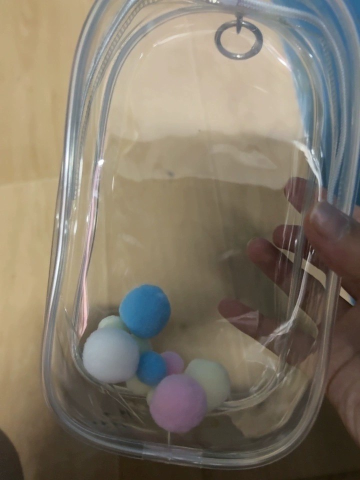 Suitable for 19cm plush toys Transparent Protective Display Pouch Keychain Hot！