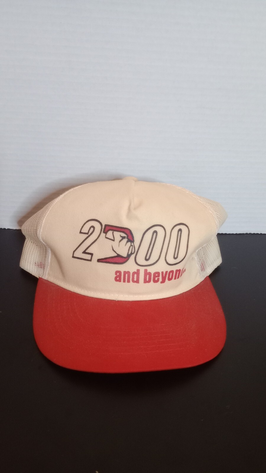 Vintage 2000 and Beyond Bulldog Snapback Men’s Hat By Pioneer Industries