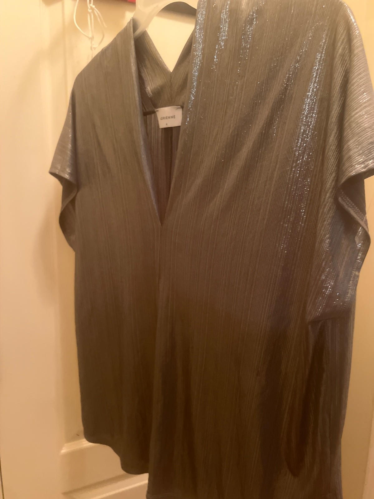 Adrienne Silver Shirt