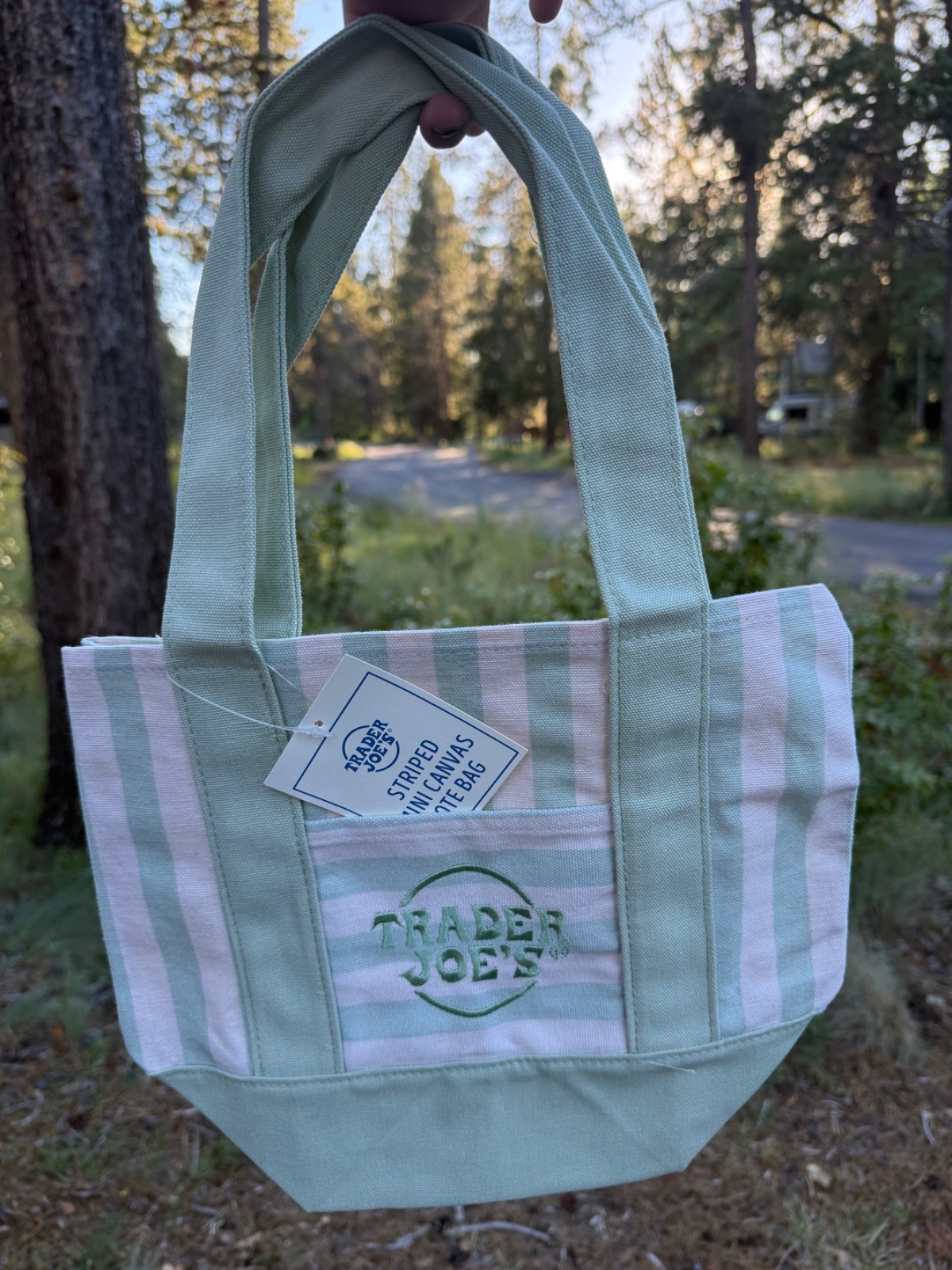 Trader Joes striped mini tote bag