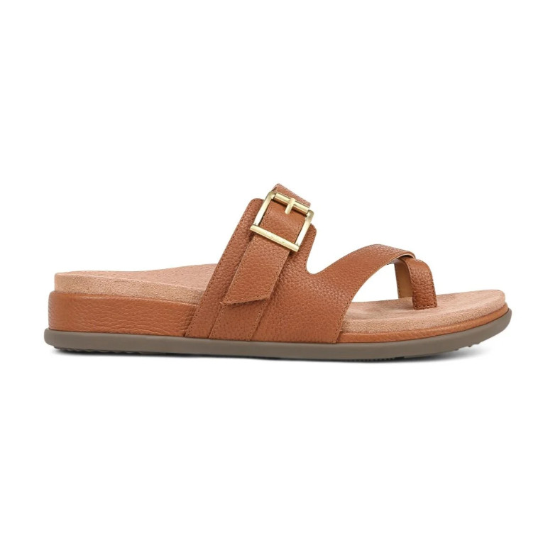 Hot Deal Vionic Carmela Strappy Slide Sandal, Tan Leather