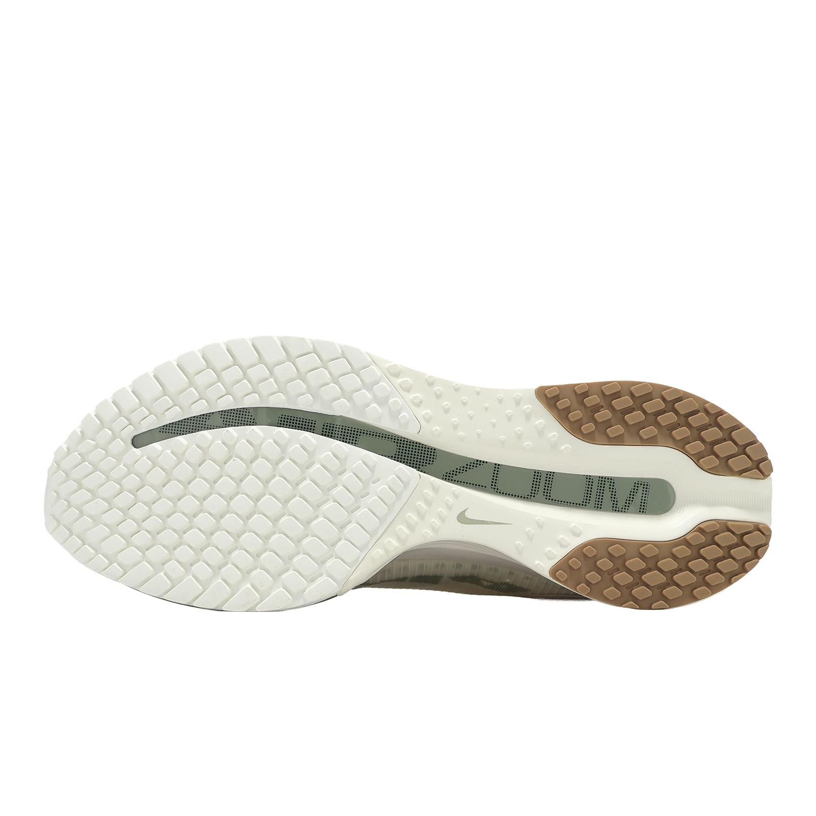 Nike Pegasus Premium Pale Ivory Black Spruce Men Road Running Shoes HQ2592-106