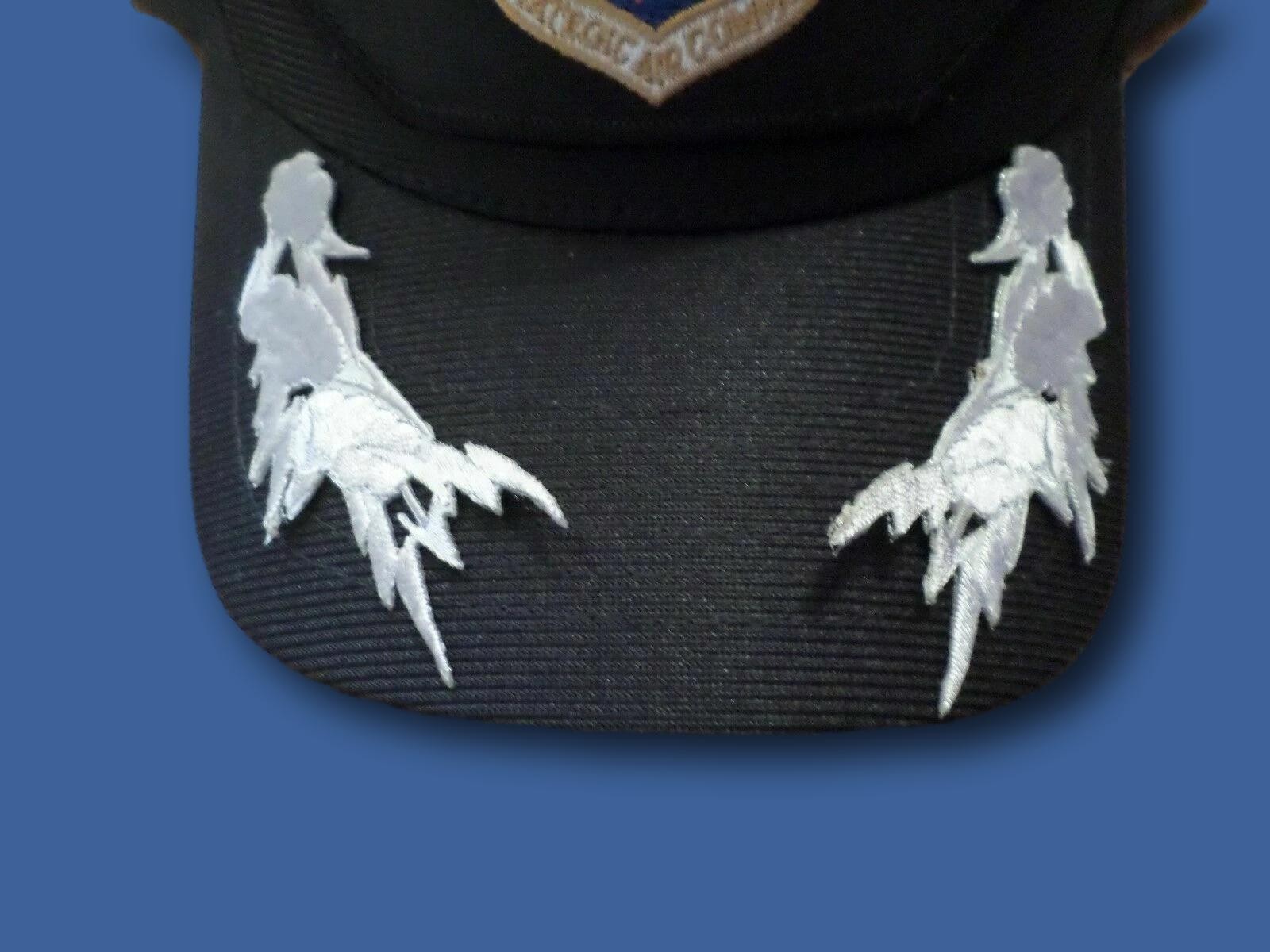 U.S MILITARY EMBROIDERED AIR FORCE CLOUDS & BOLTS OFFICERS FRETTING IRON ON