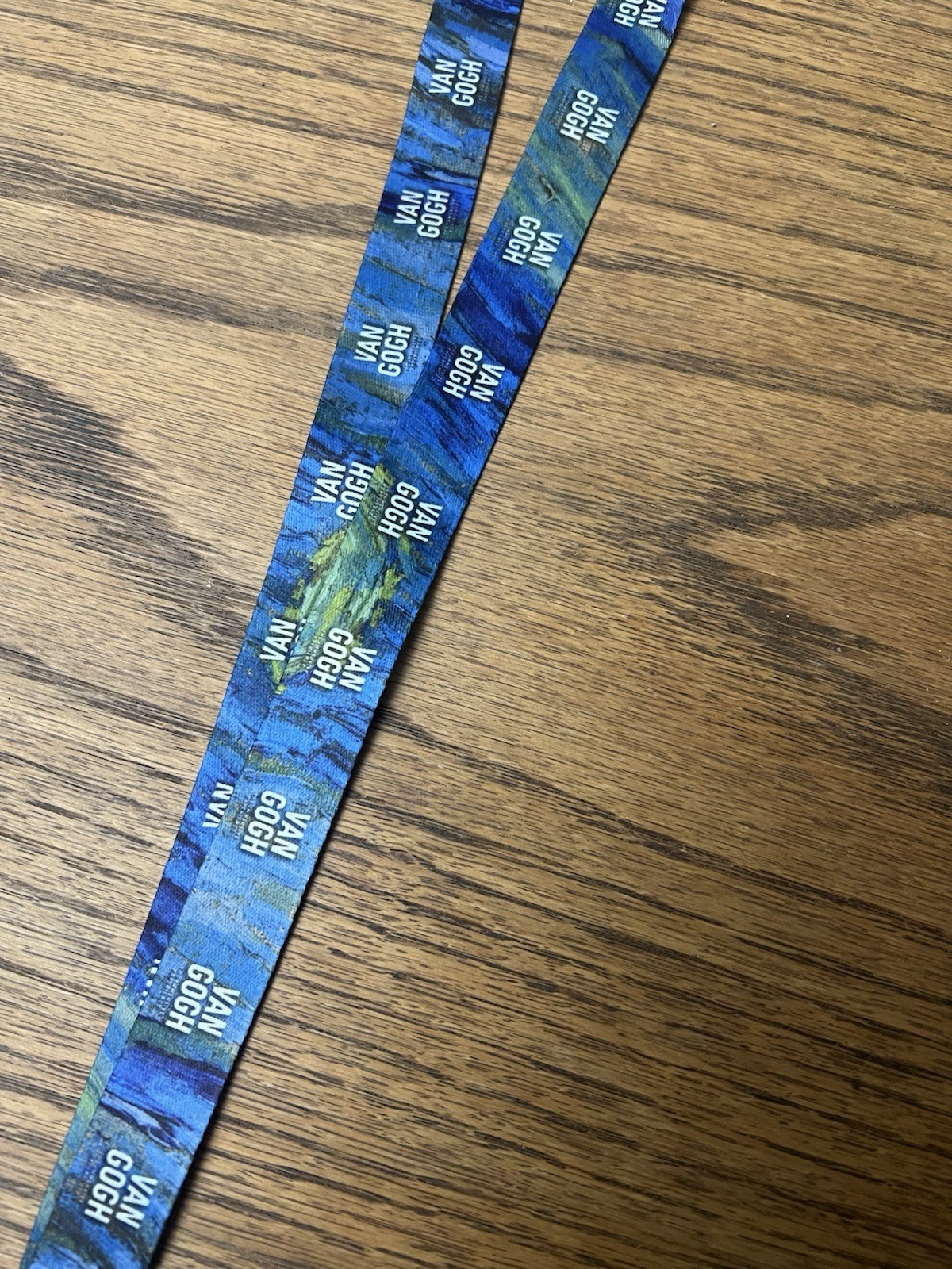 Van Gogh Blue/Green Lanyard Key Chain Detachable Swivel Clip Logo One Size