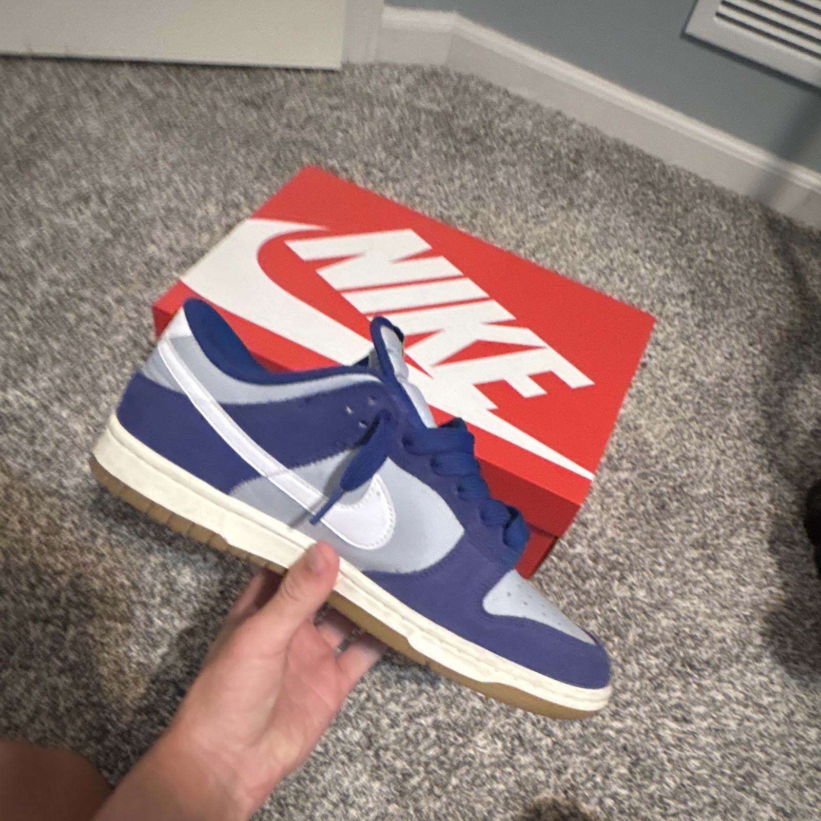 Nike Dunk Men’s Blue/Gray/White Colorblock Low Top Lace-Up Sneakers Gum