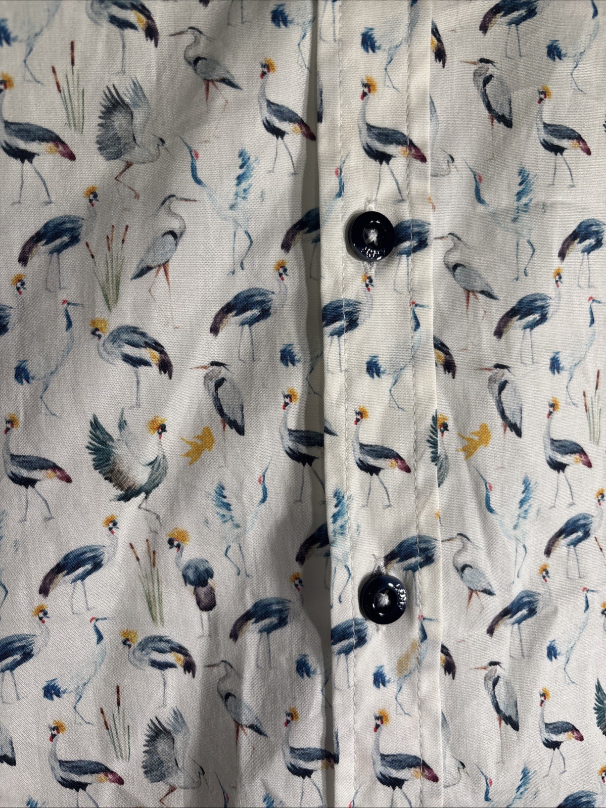 A Fish Named Fred Tropical Birds Short Sleeve Cotton Button Down Shirt XL