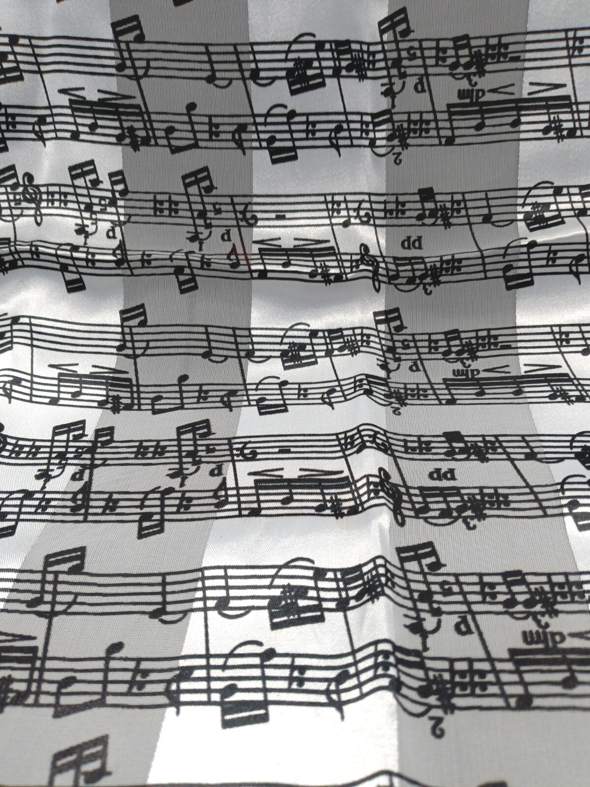 Lovely Neck Scarf, Feels Like Silk. On Label: RN# 110455; Hand Wash, Line Dry.