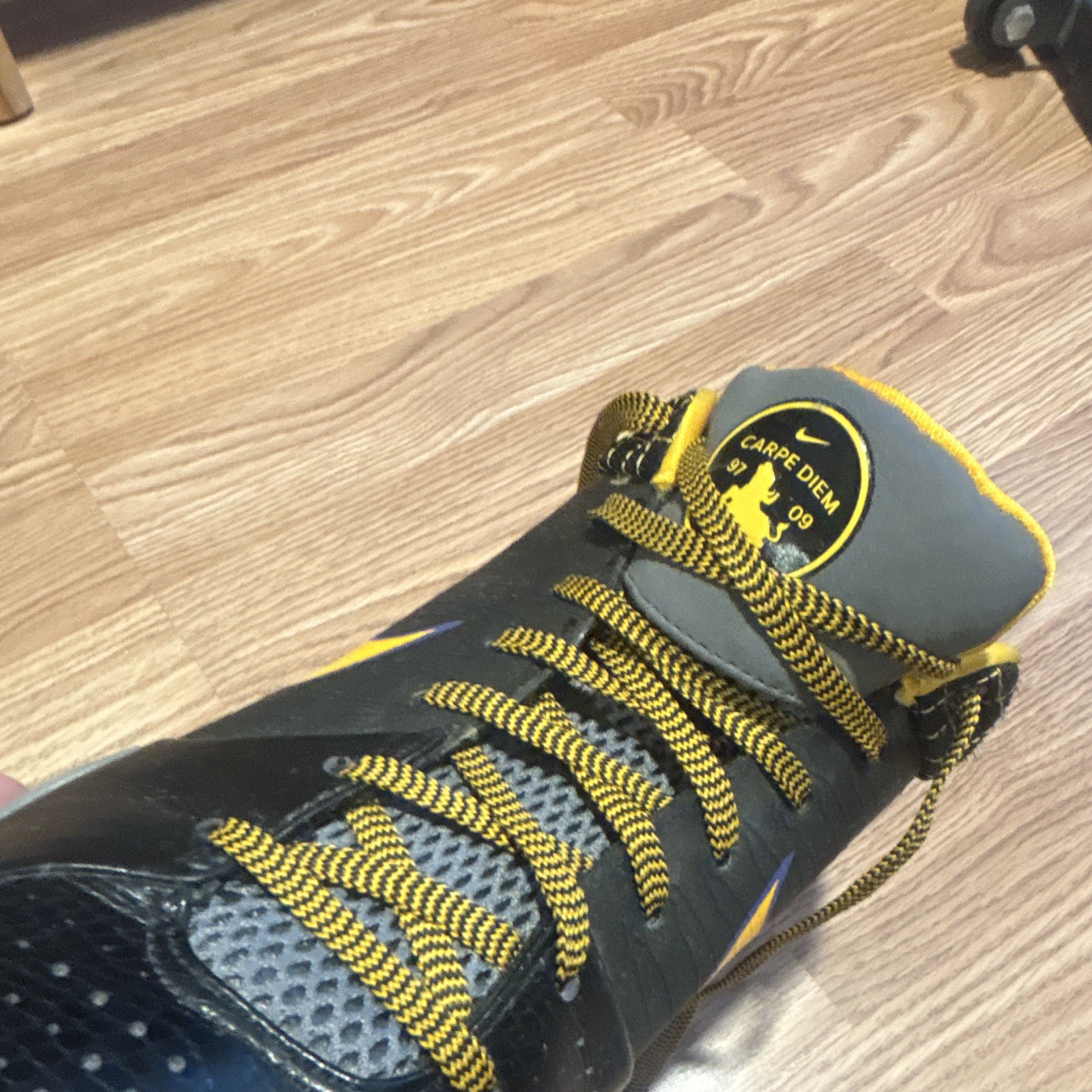 Kobe IV Protro Carpe Diem size 12