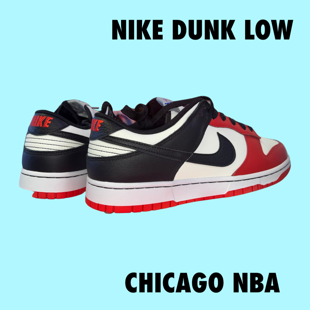 Nike Dunk Chicago NBA 75th Anniversary Size 10