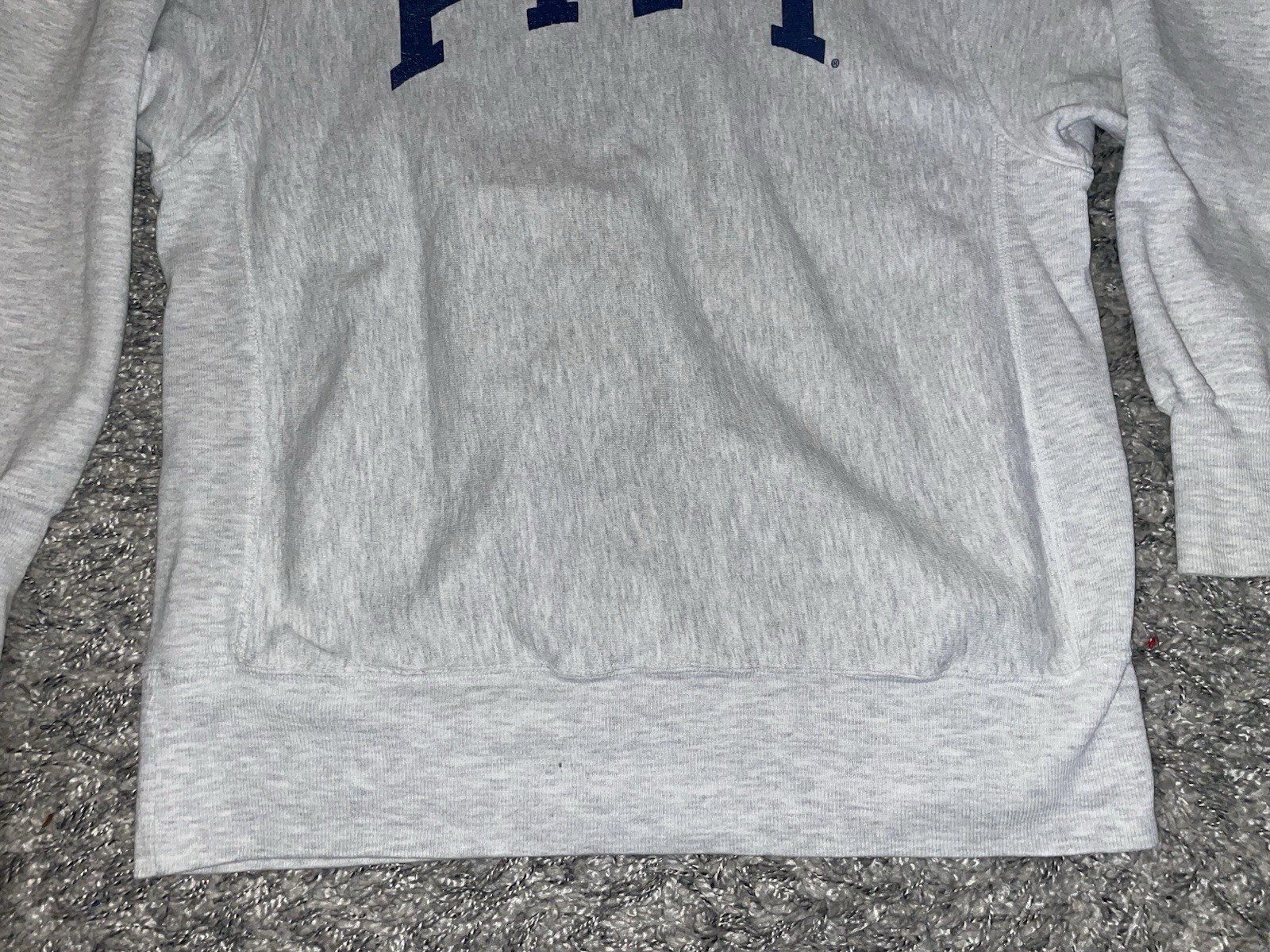 Vintage 1990s Pitt Champion Reverse Weave Sweatshirt XL University Of Pittsburgh