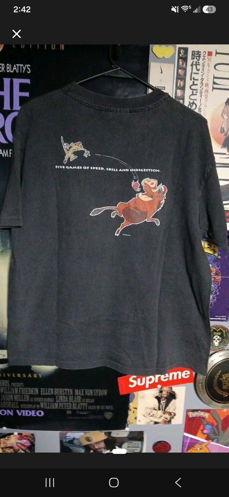 Rare 90s Timon and Pumba Video Game Promo Large