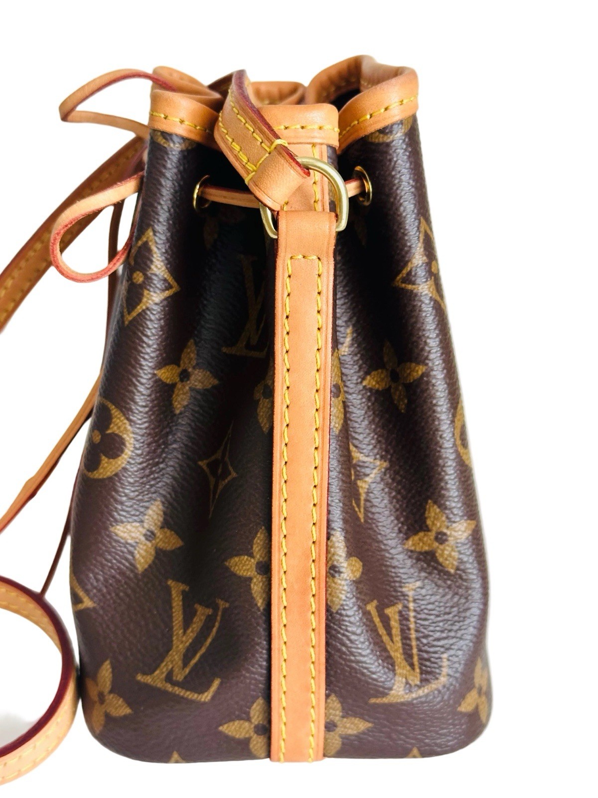 Louis Vuitton Nano Noé – Classic – Excellent Condition