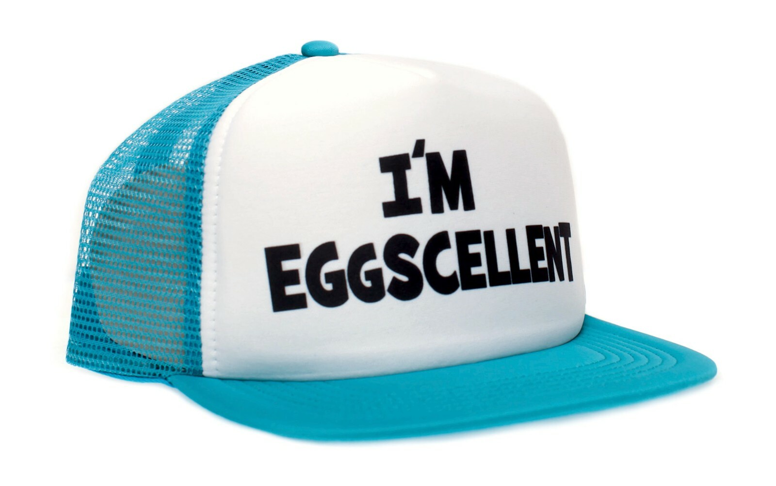 Regular Show- I’m Eggscellent Hat Aqua Flat Cap Eggcelent Excellent