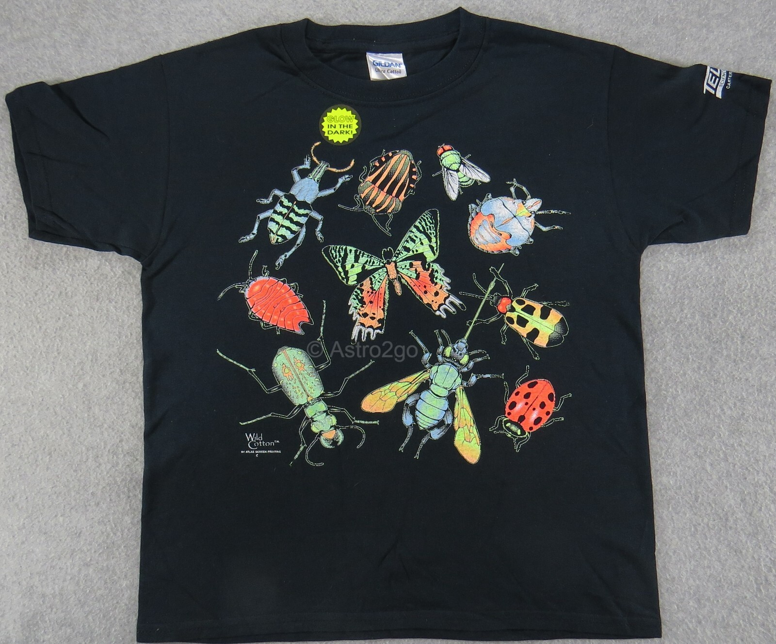 BUG GLOW-Butterfly Beetles Ladybug Wasp Fly Insects Nature Kids T Shirt sz S,M