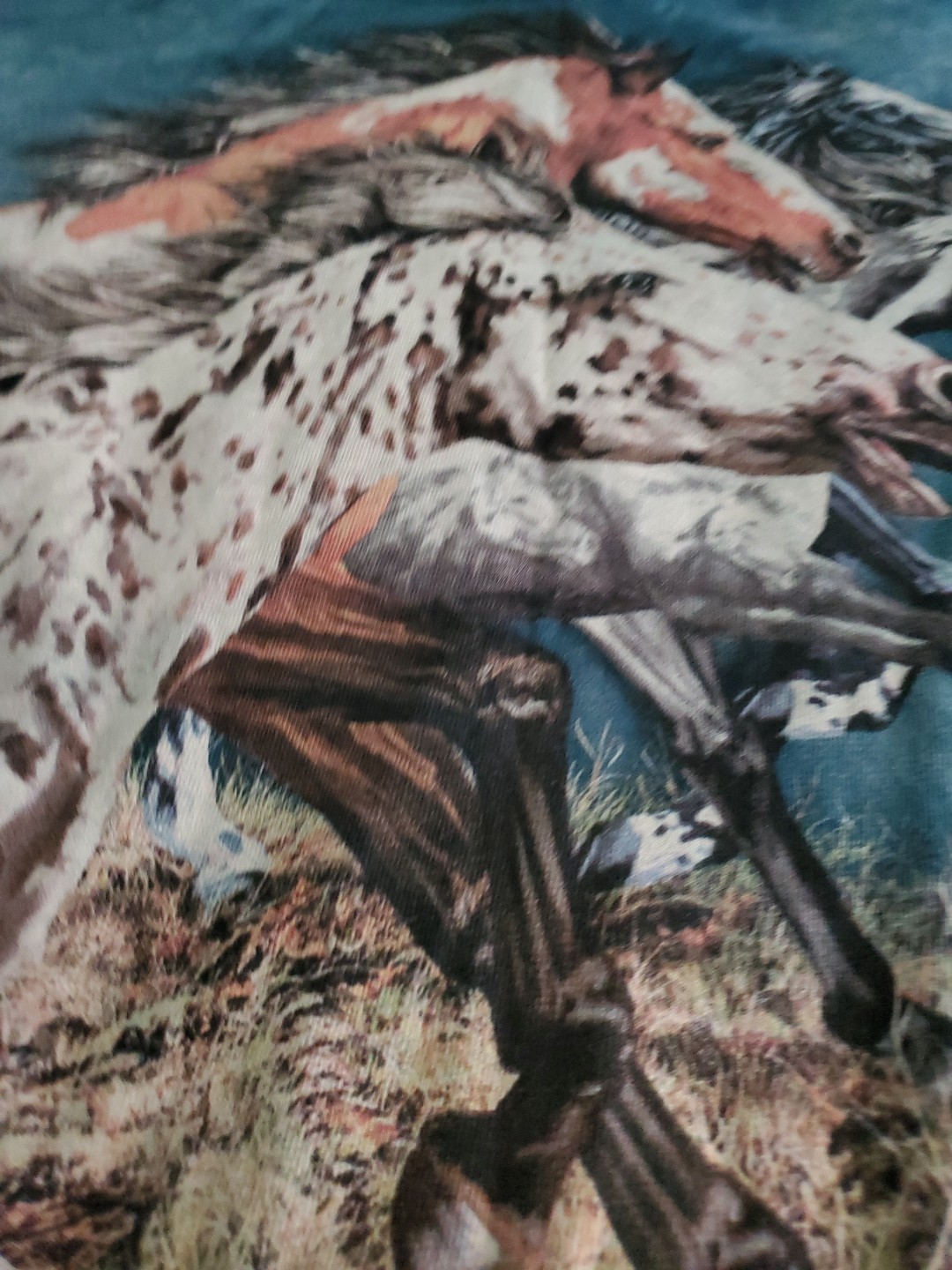 The Mountain Horse T Shirt Size Small Unisex Wild Horses 2012 “Find 15 Horses”