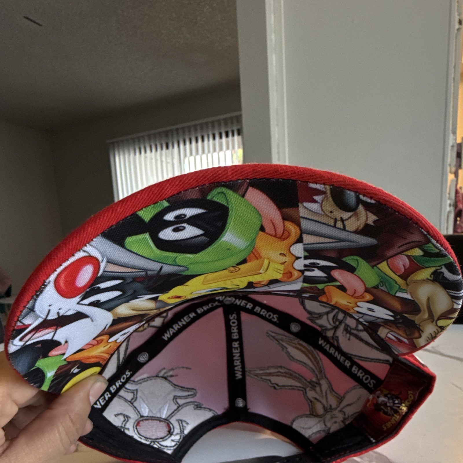 Warner Bros. Gorra Baseball Roja Ajustable Looney Tunes Personajes Bordados