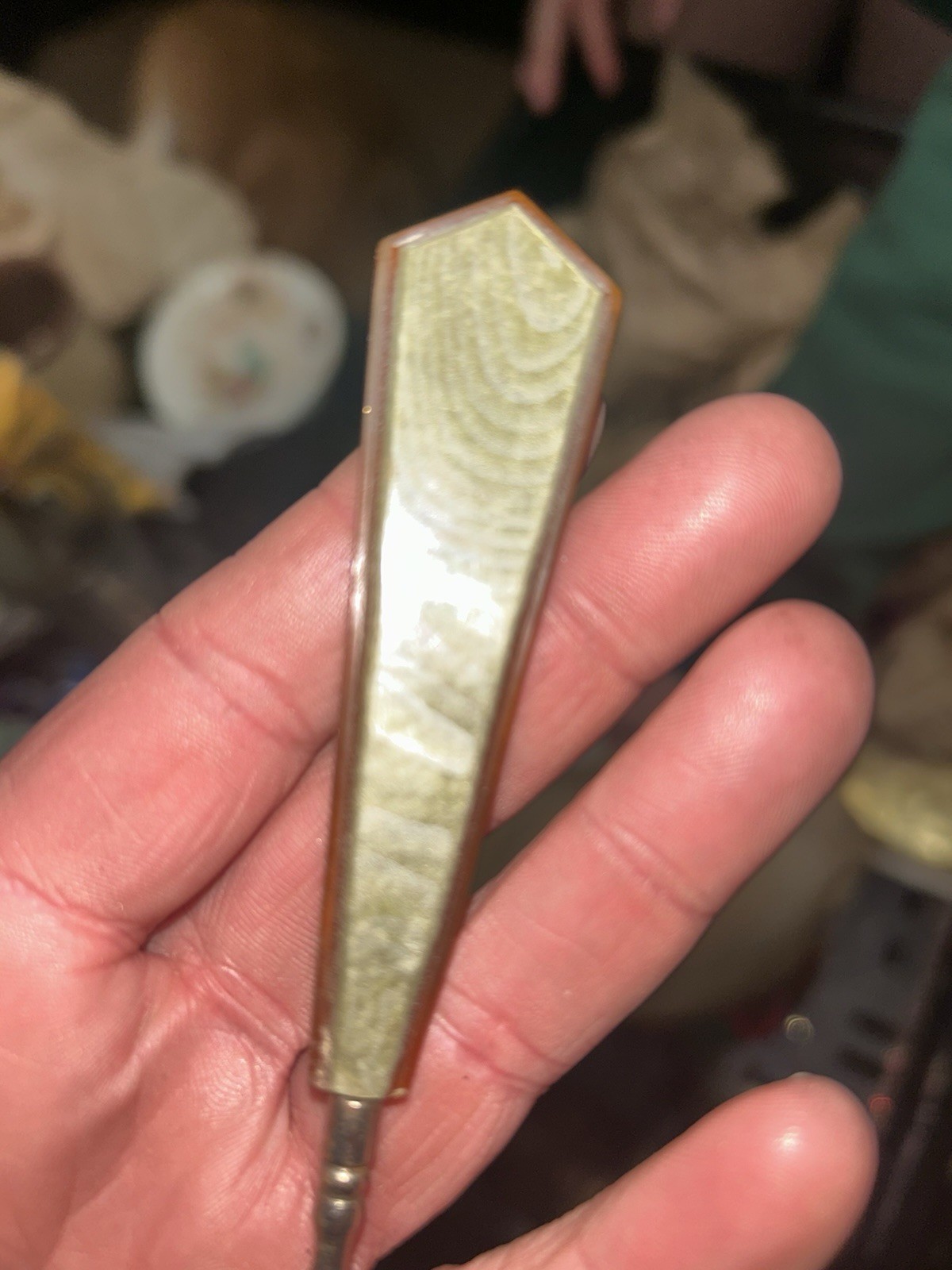Antique Button Hook