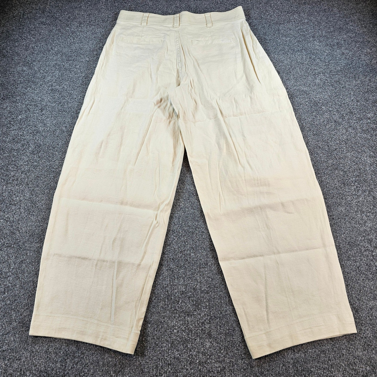 Everlane The Everywhere Pant Birch Stretch Linen Wide Leg Pleated Trousers 4