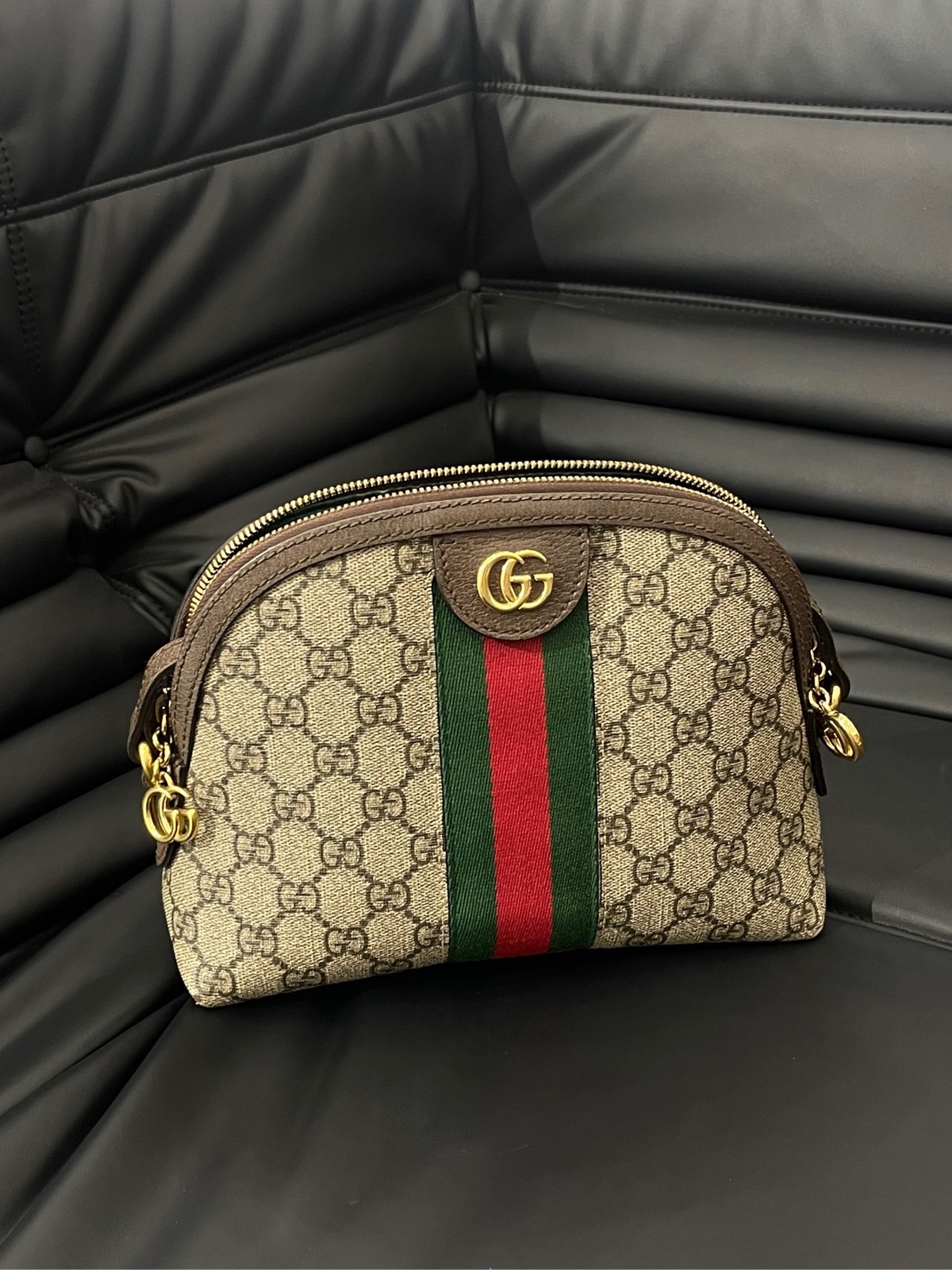 Gucci shell bag (23 × 13.5 × 4)cm