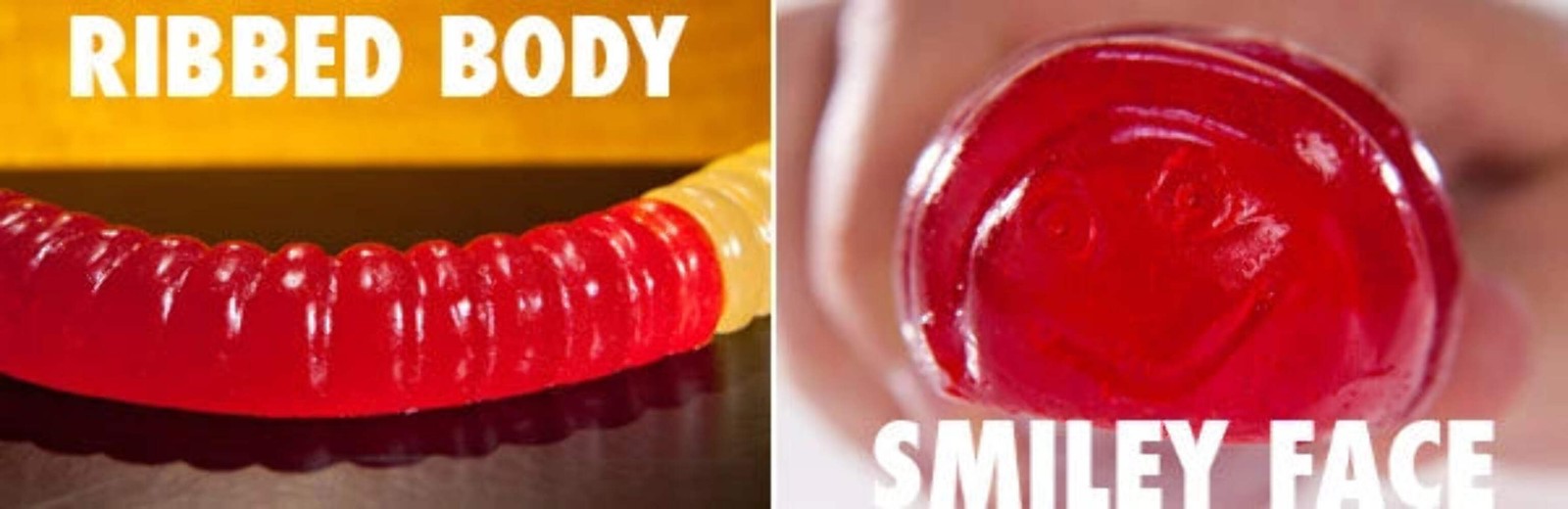 Giant 3-Pound Gummy Worm