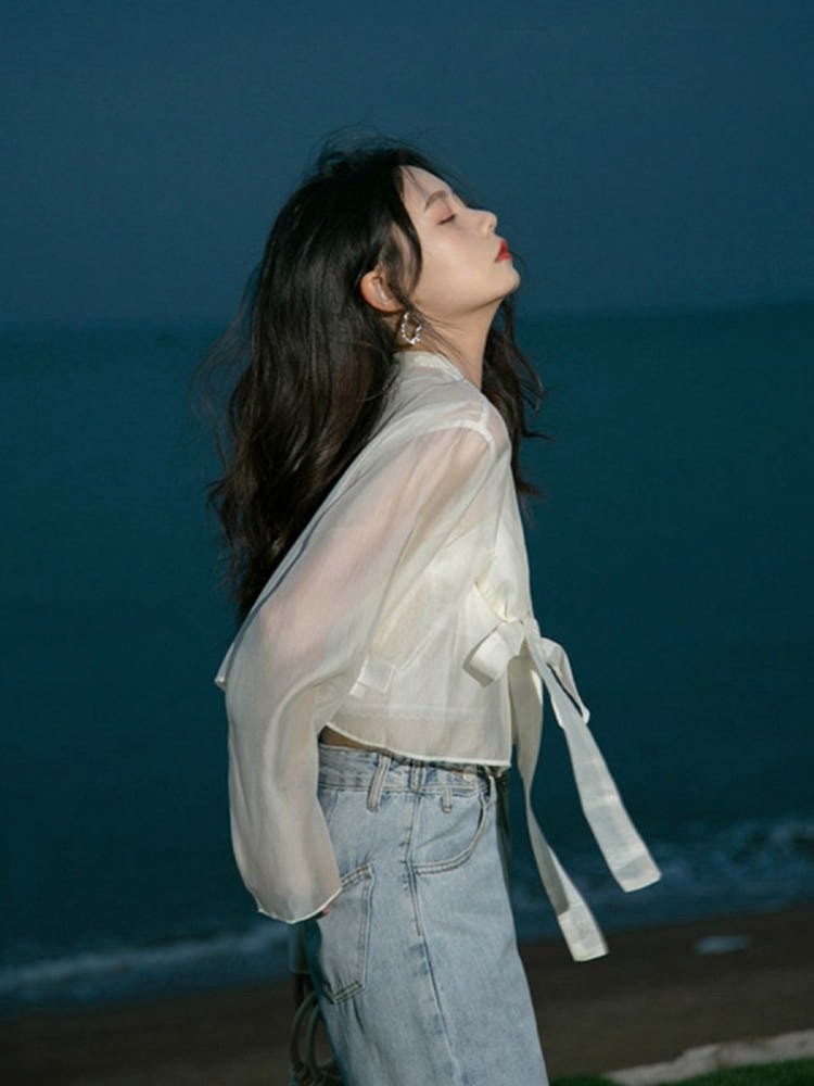 Korean Hanbok Jeogori Blouse Sheer Chiffon Top Summer Traditional Modern Style