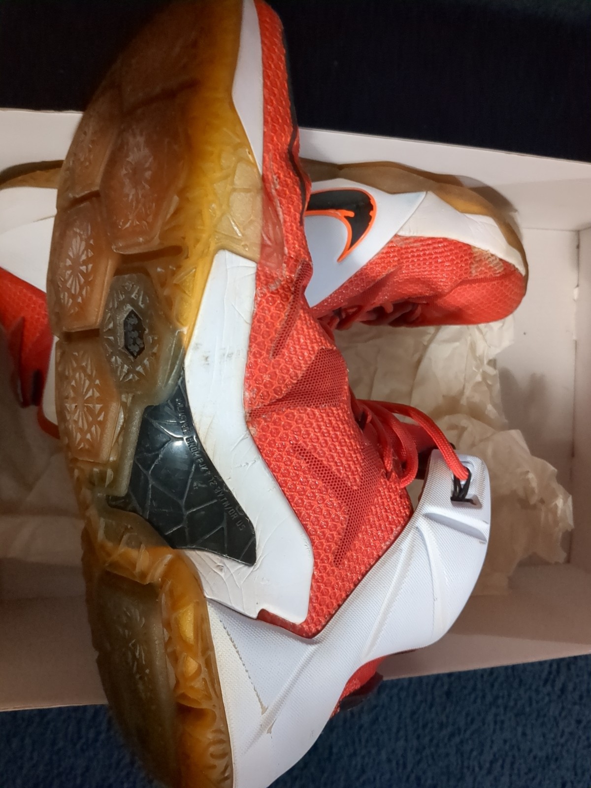 Nike LeBron James XII Men’s Size 11
