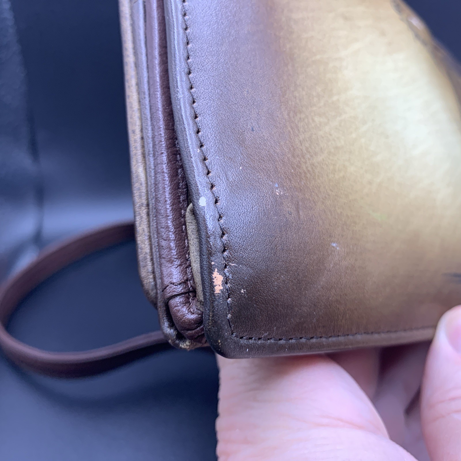 Leather Crossbody Bag Anuschka Lion Tan Bag Remov. Strap Card Slots PLEASE READ