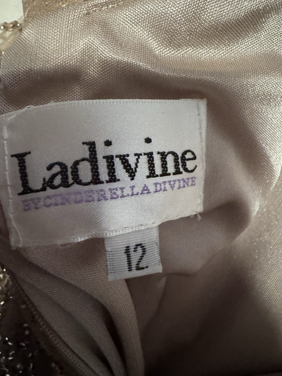 Ladivine by Cinderella Divine Champagne Beaded Sequin Mesh Gown Dress Size 12P