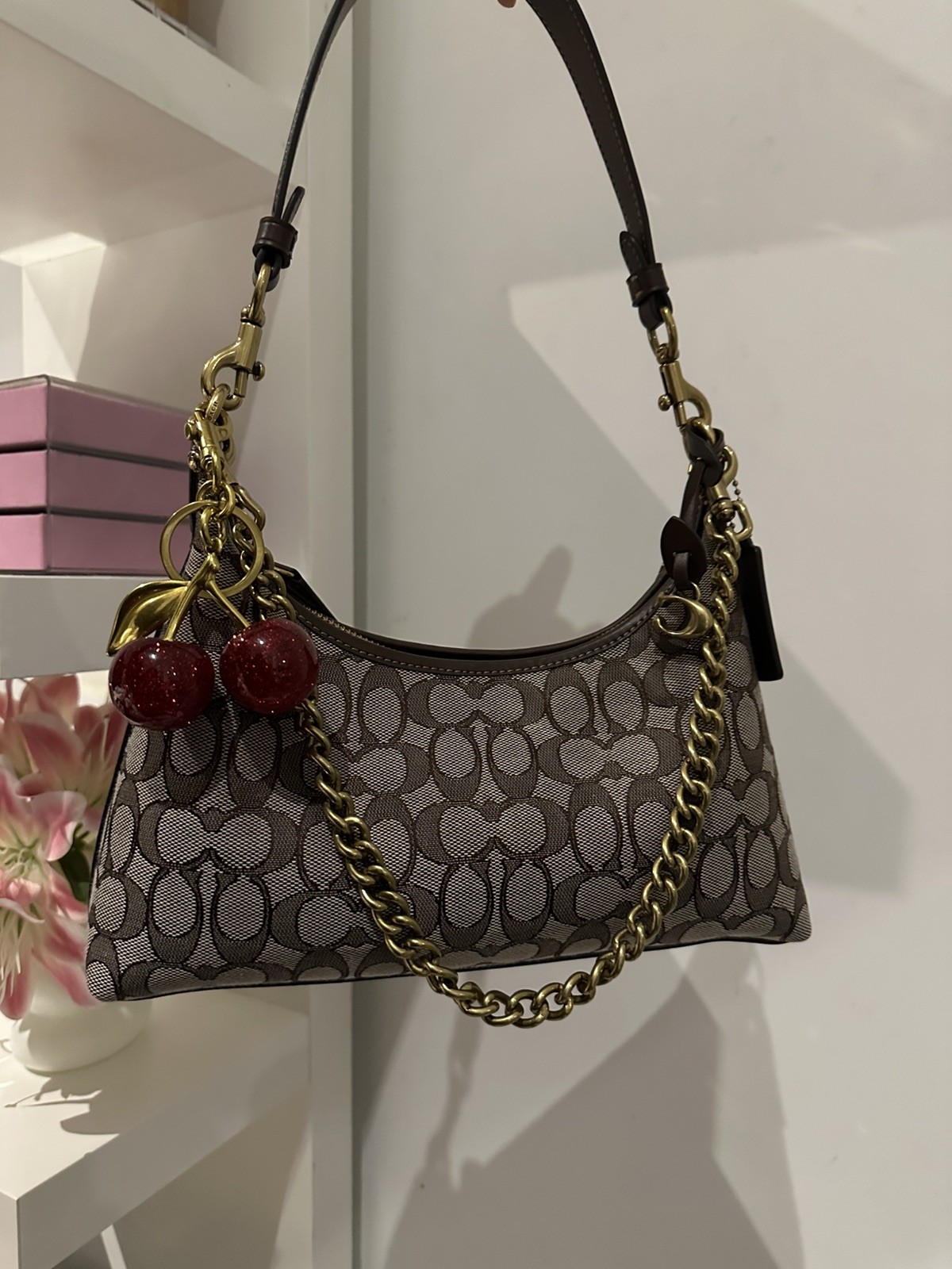 Coach Juliet Shoulder Bag Hand Bag Brown Dust bag 25