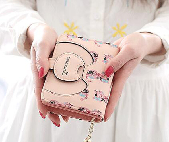 Womens Zip Around Bifold Wallet with Hasp Cute Kitty Leather Small Handbag Purse