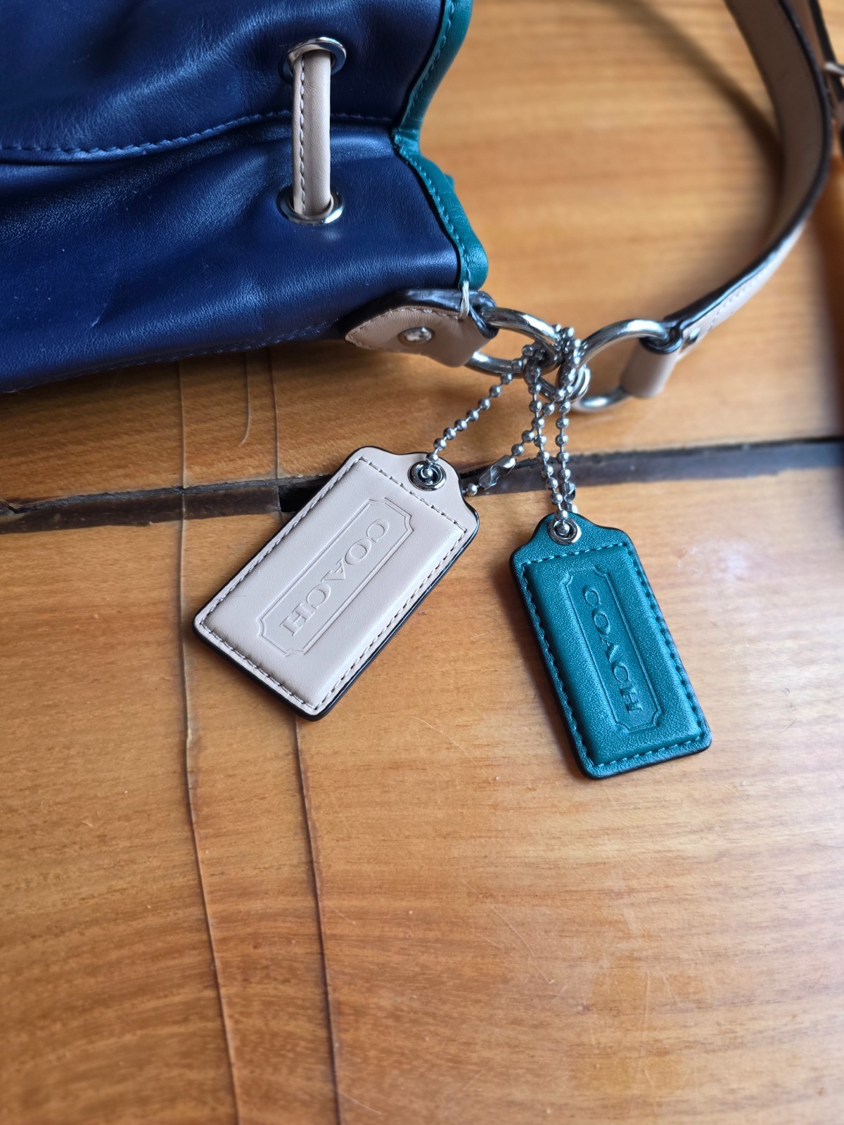 Coach Daisy Leather Drawstring Shoulder Bucket Bag Blue Green Tan Colorblock