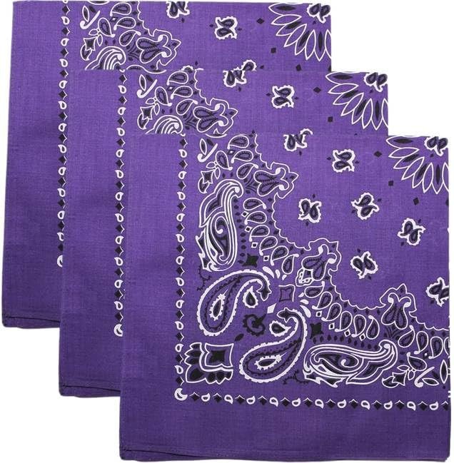 Trainmen Paisley Bandanas Head Scarf Do-rag 100% Cotton Bandanna 22″ x 22″ 3Pack