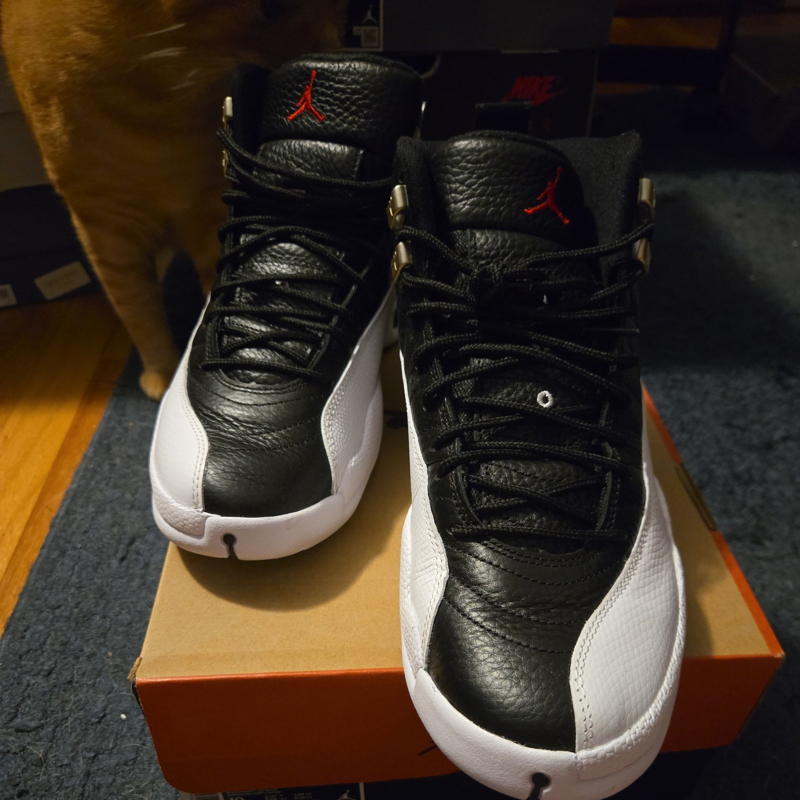 Jordan 12 Playoffs Mens Size 10