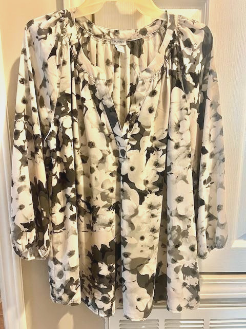 Ladies Blouse, Semi Sheer, plus sz LG, brand: Porophrase
