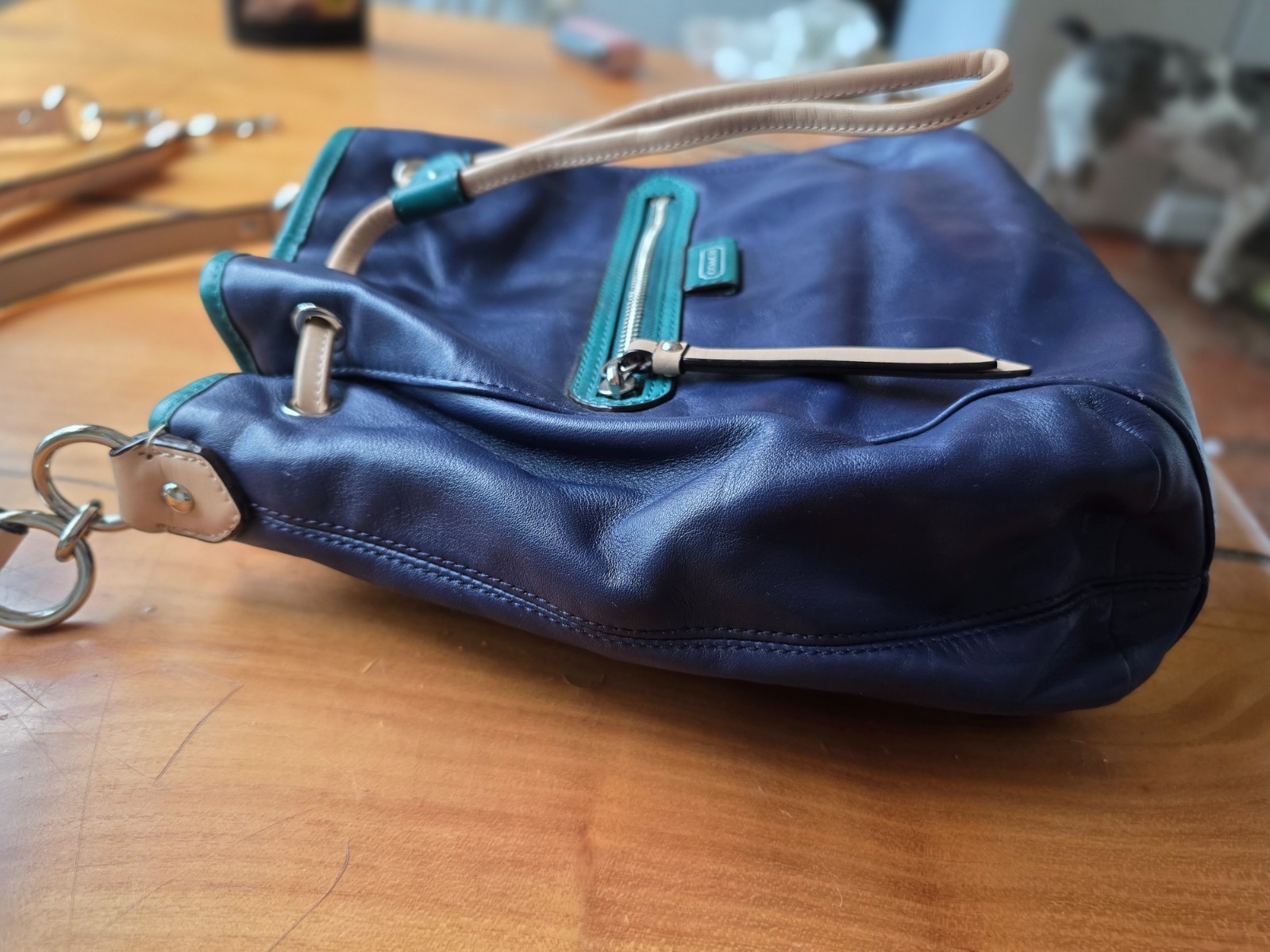 Coach Daisy Leather Drawstring Shoulder Bucket Bag Blue Green Tan Colorblock