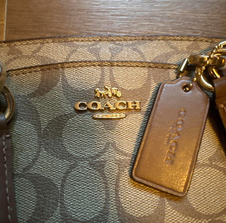 Coach bag with purse