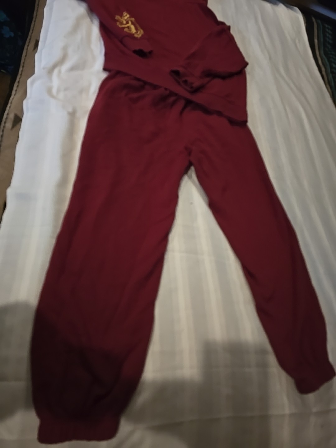 Harry Potter Gryffindor Quidditch Seeker Woman’s M 2 Piece Hoodie/Sweatpant