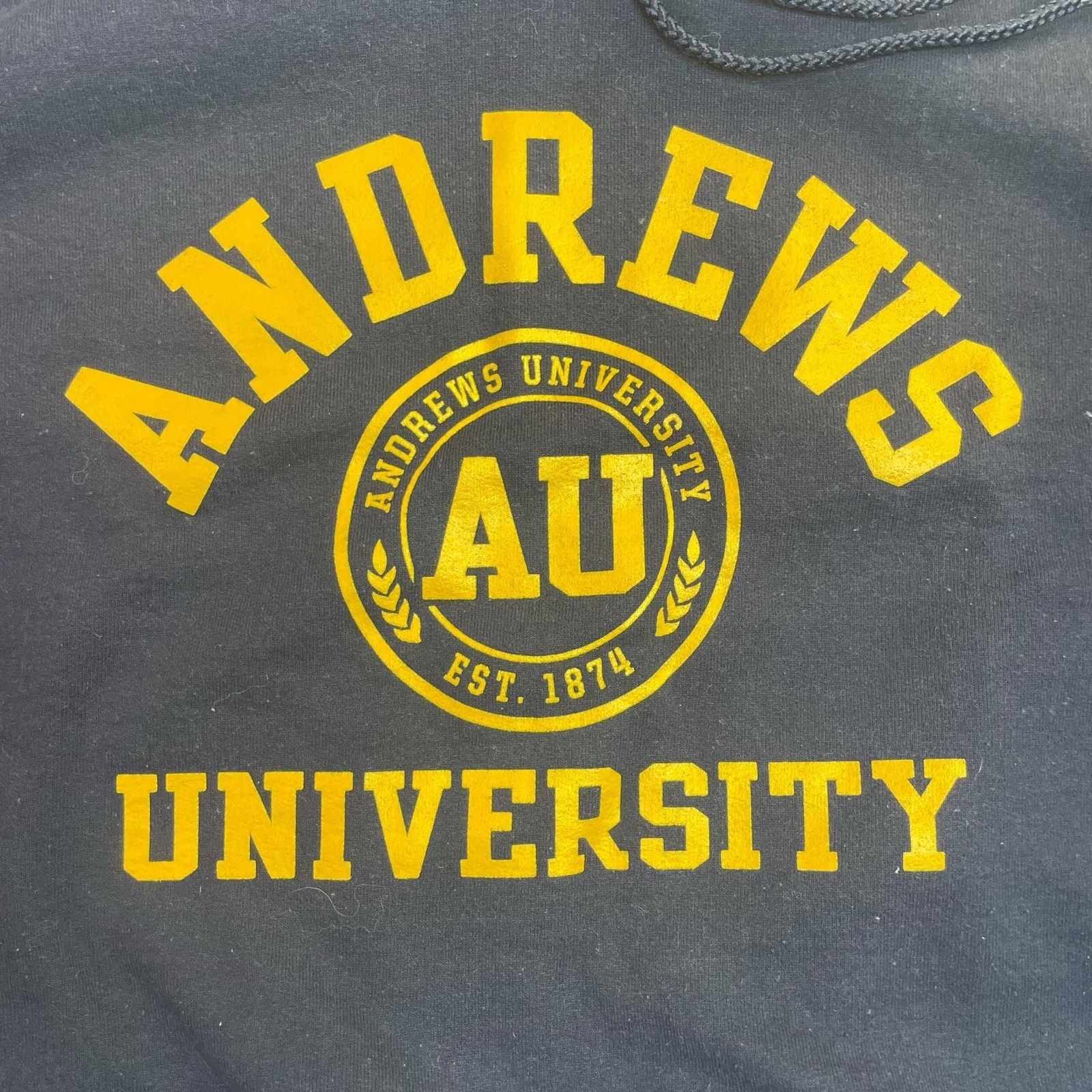 Champion Andrews University Hoodie Navy Blue Large