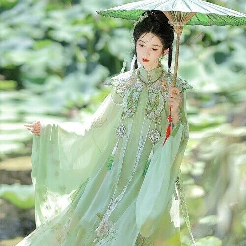Chinese Hanfu Ming Dynasty Cloud Shoulder Stand Collar Long Shirt Pleated Dress