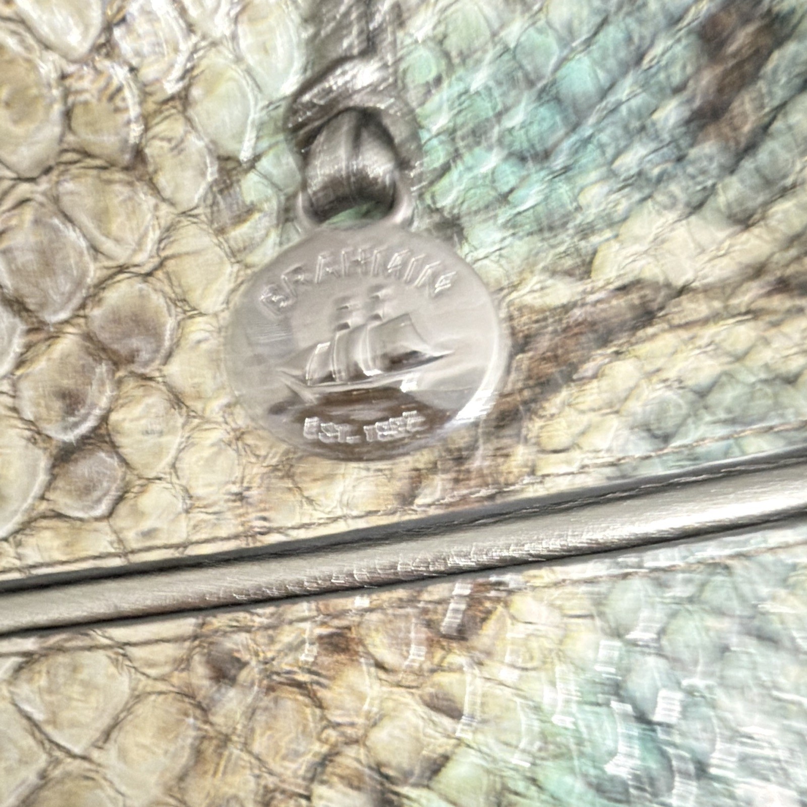 Brahmin Snake-Embossed Satchel Top Handle Zip Gray Green Silver Lined Pockets