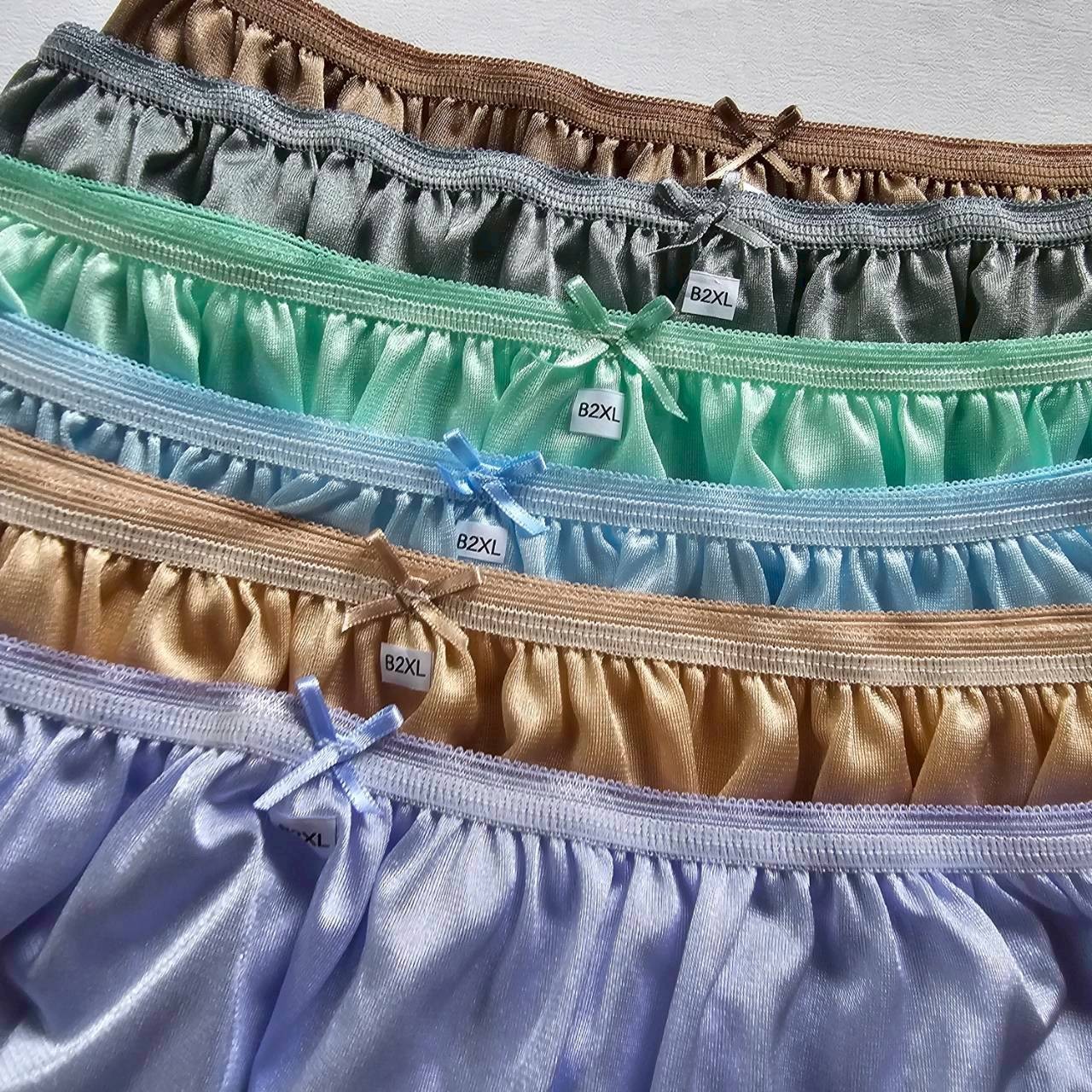 12 Plus Underwear Mid-Waist Panties Women Mens Briefs Nylon Silky Soft /2XL/Mix