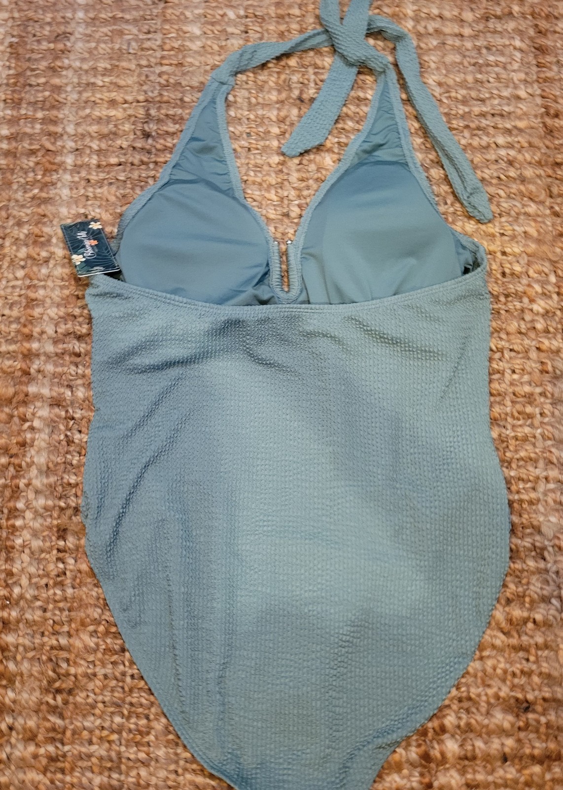 Blooming Jelly Women’s Wireless Full Coverage One-Piece Swim Suit Sage Plunge 2X