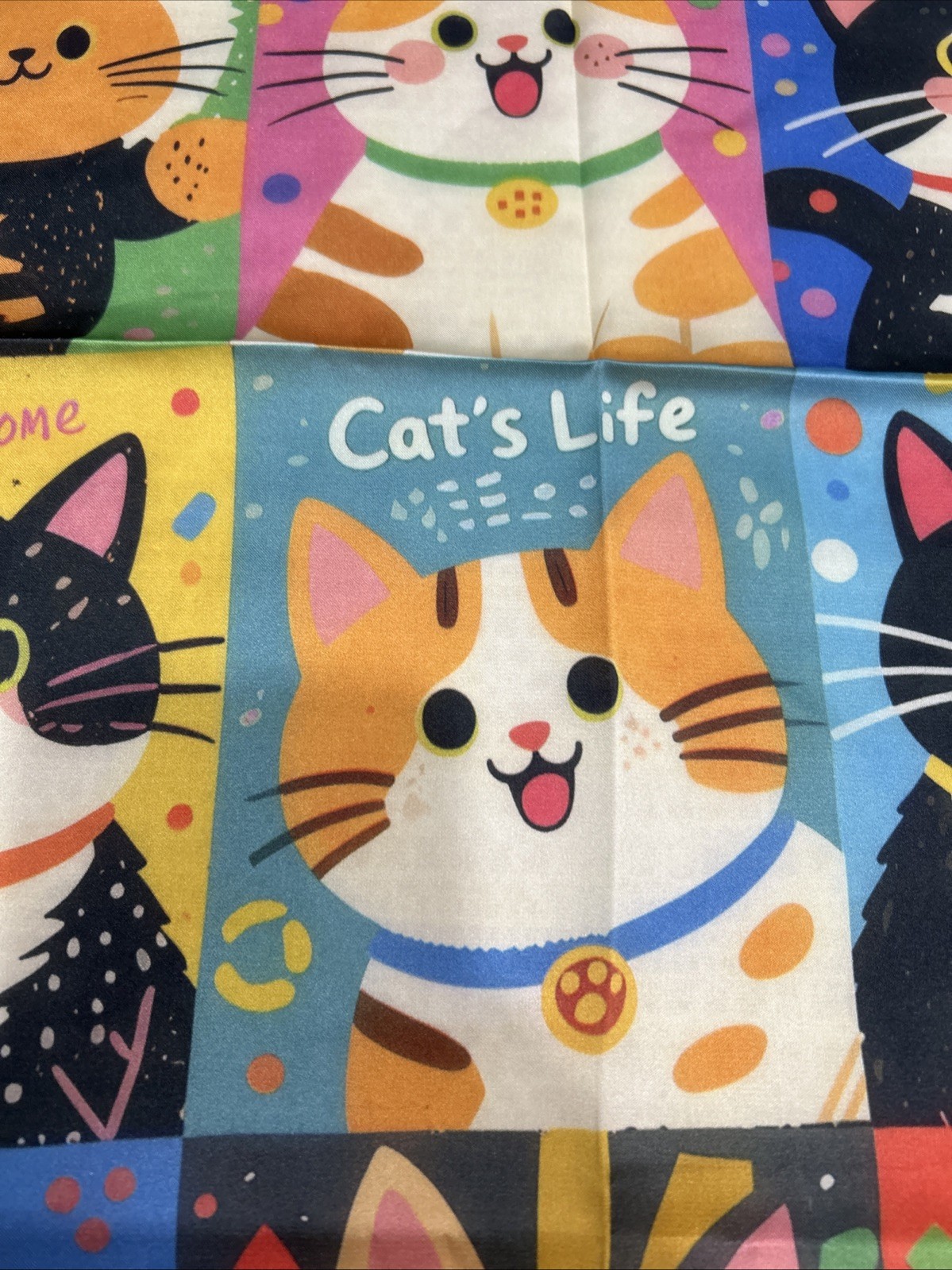 Colorful Cats Funky Fun 26” Square Scarf Floaty Green Border New Breeds Kitties